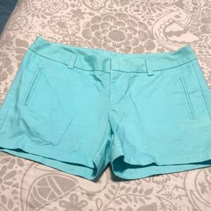Stylus Aqua Dressy Shorts 8